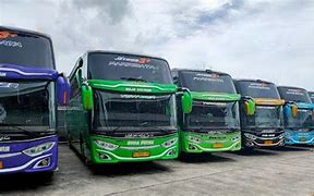 Bus Pariwisata Semarang Gratis